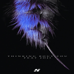 sm车内风油精视频
